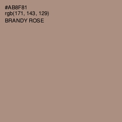 #AB8F81 - Brandy Rose Color Image